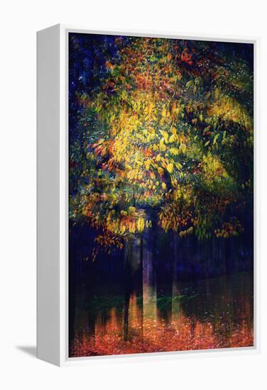 Exuberance 2-Ursula Abresch-Framed Premier Image Canvas