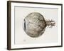 Eye Anatomy, 1844 Artwork-Science Photo Library-Framed Photographic Print