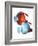 Eye Anatomy,artwork-Jose Antonio-Framed Photographic Print