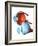 Eye Anatomy,artwork-Jose Antonio-Framed Photographic Print