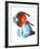 Eye Anatomy,artwork-Jose Antonio-Framed Photographic Print