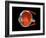 Eye Anatomy-Jose Antonio-Framed Photographic Print