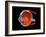 Eye Anatomy-Jose Antonio-Framed Photographic Print