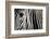 Eye and Stripes-Mario Moreno-Framed Photographic Print