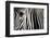 Eye and Stripes-Mario Moreno-Framed Photographic Print