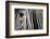 Eye and Stripes-Mario Moreno-Framed Photographic Print