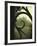 Eye Castle-Tim Kahane-Framed Photographic Print