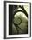 Eye Castle-Tim Kahane-Framed Photographic Print