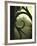 Eye Castle-Tim Kahane-Framed Photographic Print