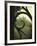 Eye Castle-Tim Kahane-Framed Photographic Print