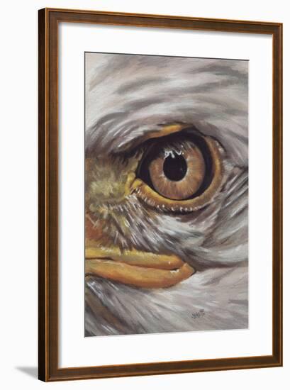 Eye-Catching Bald Eagle-Barbara Keith-Framed Giclee Print