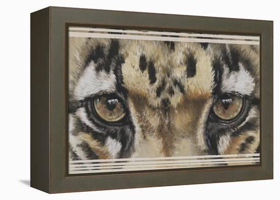 Eye-Catching Clouded Leopard-Barbara Keith-Framed Premier Image Canvas