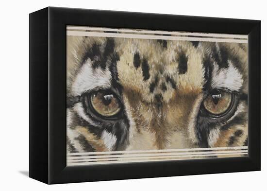 Eye-Catching Clouded Leopard-Barbara Keith-Framed Premier Image Canvas