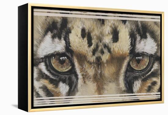 Eye-Catching Clouded Leopard-Barbara Keith-Framed Premier Image Canvas