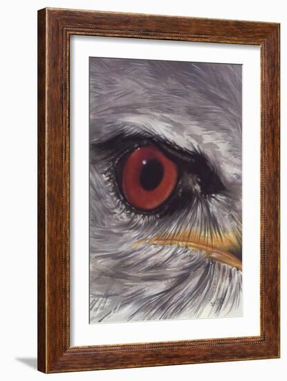 Eye Catching Kite-Barbara Keith-Framed Giclee Print