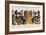 Eye-Catching Tiger-Barbara Keith-Framed Giclee Print