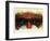 Eye-Catching-Barbara Keith-Framed Giclee Print