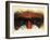 Eye-Catching-Barbara Keith-Framed Giclee Print