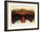 Eye-Catching-Barbara Keith-Framed Giclee Print