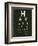 Eye Chart IV-Jess Aiken-Framed Art Print