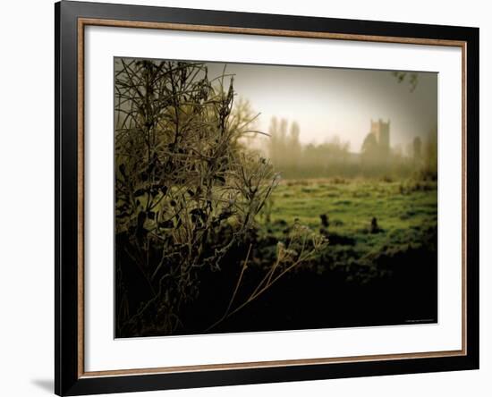 Eye Church-Tim Kahane-Framed Photographic Print