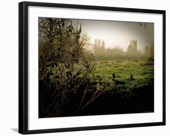 Eye Church-Tim Kahane-Framed Photographic Print