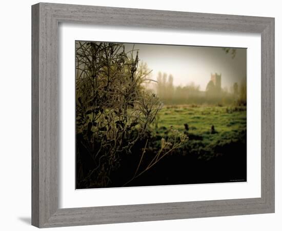 Eye Church-Tim Kahane-Framed Photographic Print