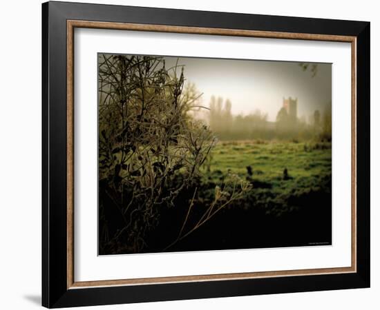 Eye Church-Tim Kahane-Framed Photographic Print