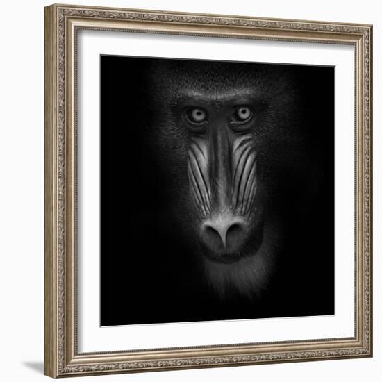 Eye Contact-Ruud Peters-Framed Photographic Print