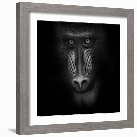Eye Contact-Ruud Peters-Framed Photographic Print