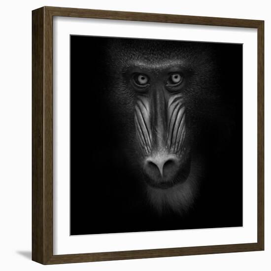 Eye Contact-Ruud Peters-Framed Photographic Print