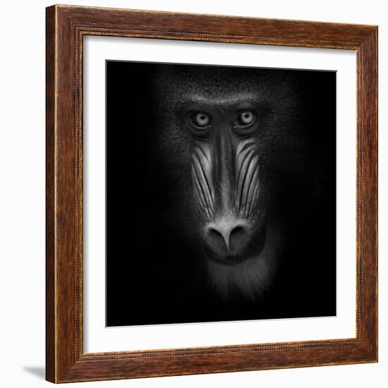 Eye Contact-Ruud Peters-Framed Photographic Print