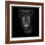 Eye Contact-Ruud Peters-Framed Photographic Print