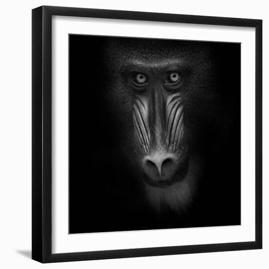 Eye Contact-Ruud Peters-Framed Photographic Print