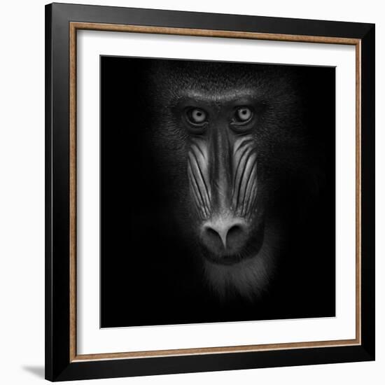 Eye Contact-Ruud Peters-Framed Photographic Print