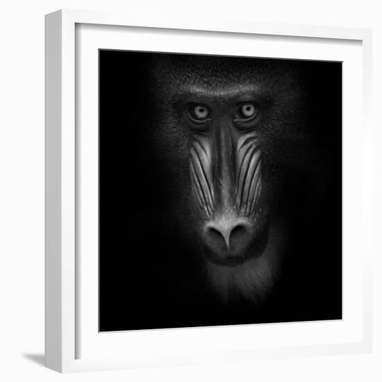 Eye Contact-Ruud Peters-Framed Photographic Print