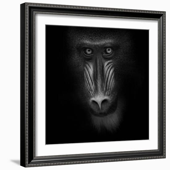 Eye Contact-Ruud Peters-Framed Photographic Print