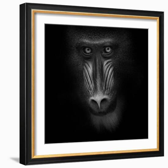 Eye Contact-Ruud Peters-Framed Photographic Print