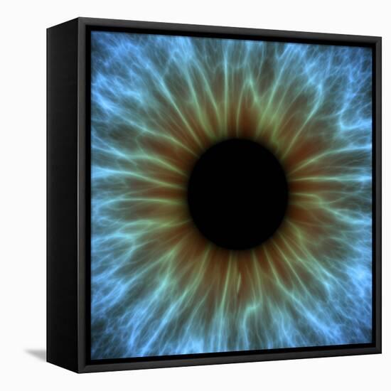 Eye, Iris-PASIEKA-Framed Premier Image Canvas