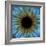 Eye, Iris-PASIEKA-Framed Premium Photographic Print