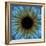 Eye, Iris-PASIEKA-Framed Premium Photographic Print