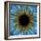 Eye, Iris-PASIEKA-Framed Premium Photographic Print