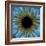 Eye, Iris-PASIEKA-Framed Premium Photographic Print