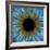 Eye, Iris-PASIEKA-Framed Premium Photographic Print