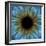 Eye, Iris-PASIEKA-Framed Premium Photographic Print