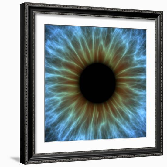 Eye, Iris-PASIEKA-Framed Premium Photographic Print