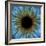 Eye, Iris-PASIEKA-Framed Premium Photographic Print