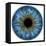 Eye, Iris-PASIEKA-Framed Premier Image Canvas