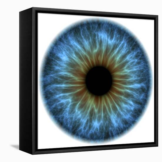 Eye, Iris-PASIEKA-Framed Premier Image Canvas