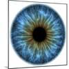 Eye, Iris-PASIEKA-Mounted Premium Photographic Print